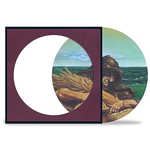 Grateful Dead - Wake of the Flood (Picture Disc) | Mint (M) Mint (M)