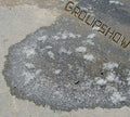 The Martyrdom Of Groupshow |