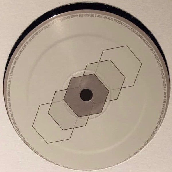 Andrenidae EP | Mint (M) Generic