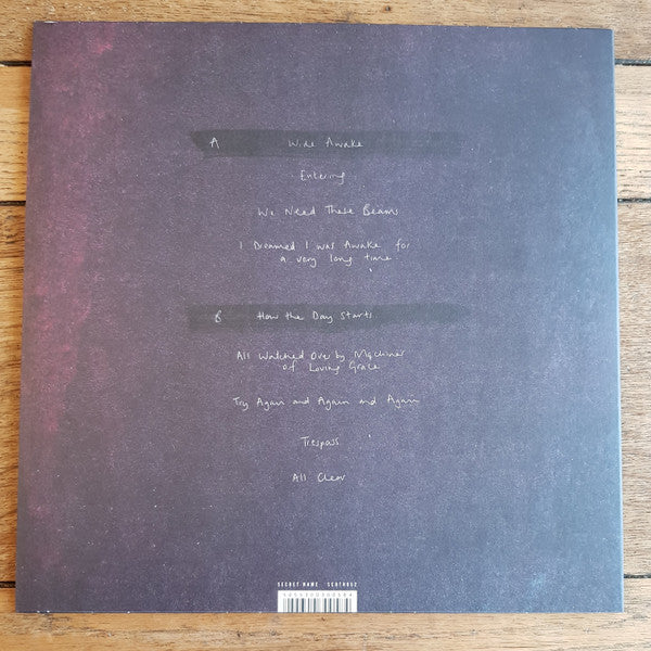 The Hill, The Light, The Ghost | Mint (M) Mint (M)