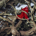 Nested In Tangles (Ruby Red VINYL) | Mint (M) Mint (M)