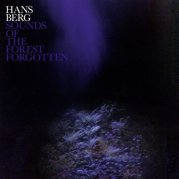 Sounds Of The Forest Forgotten |