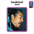 Damisi |