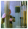 Experimental I/Mechanical I |