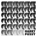 Let's Build a Pussy |
