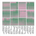 Synopsis Seriation |