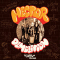 Demolition (The Wired Up World Of Hector) |