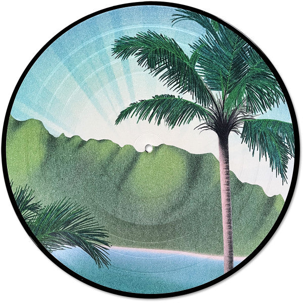 Flamingosis - Daymaker (PICTURE VINYL) | Mint (M) Mint (M)
