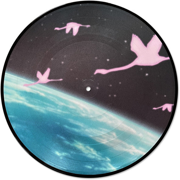 Flamingosis - Daymaker (PICTURE VINYL) | Mint (M) Mint (M)