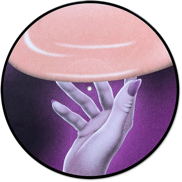 Flamingosis - Daymaker (PICTURE VINYL) | Mint (M) Mint (M)