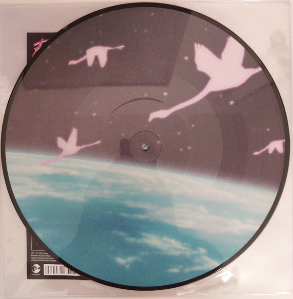 Flamingosis - Daymaker (PICTURE VINYL) | Mint (M) Mint (M)
