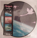 Flamingosis - Daymaker (PICTURE VINYL) | Mint (M) Mint (M)