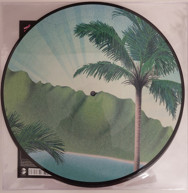 Flamingosis - Daymaker (PICTURE VINYL) | Mint (M) Mint (M)