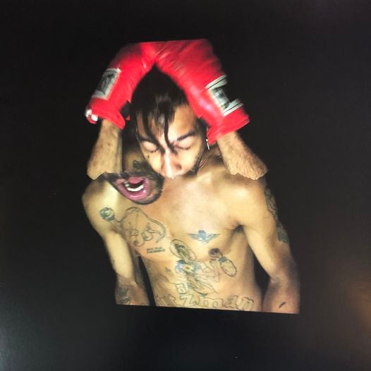 Bulli (VMP COLOR VINYL) | Mint (M) Mint (M)
