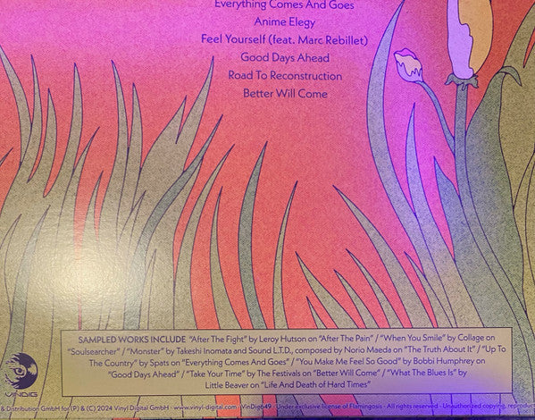 Flamingosis - Better Will Come (GREEN VINYL) | Mint (M) Mint (M)