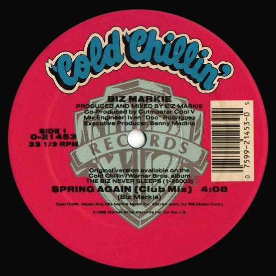 Biz Markie - Spring Again (VINYL) | Excellent (EX) Near Mint (NM)