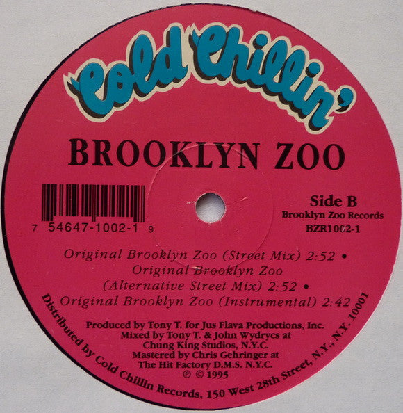 Brooklyn Zoo (2) - Masters Of Zooniverse | Near Mint (NM) Generic