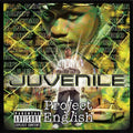 Juvenile (2) - Project English (CD) | Very Good (VG) Excellent (EX)