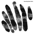 Hound Dog Taylor's Hand |