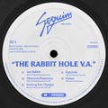 The Rabbit Hole V.A. (VINYL) | Mint (M) Generic
