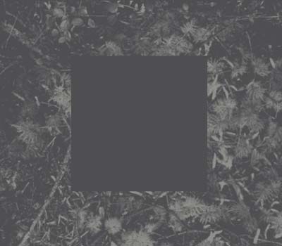 Poisoned Soil |