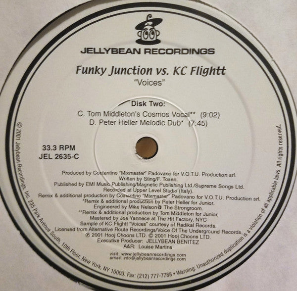 KC Flightt - Voices | Excellent (EX) Excellent (EX)