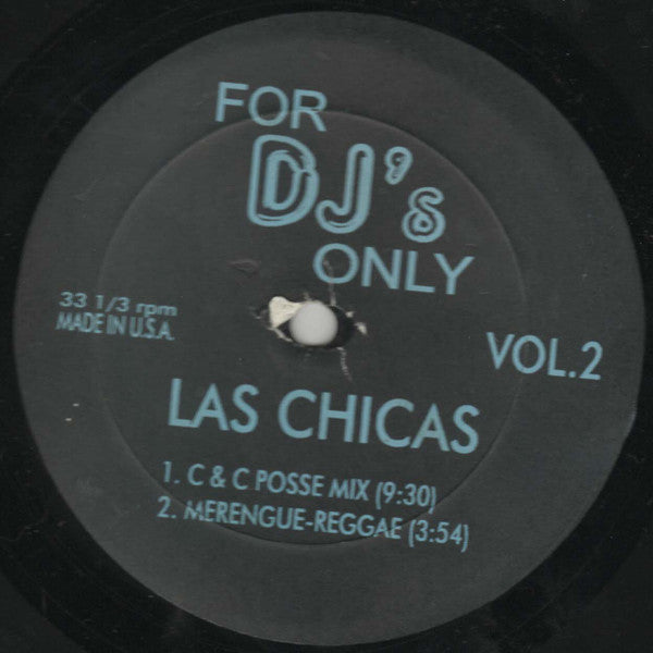Various - For DJ's Only (Vol. 2) (VINYL) | Excellent (EX) Generic