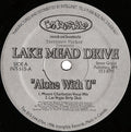 Terrence Parker - Alone With U (VINYL) | Near Mint (NM) Generic