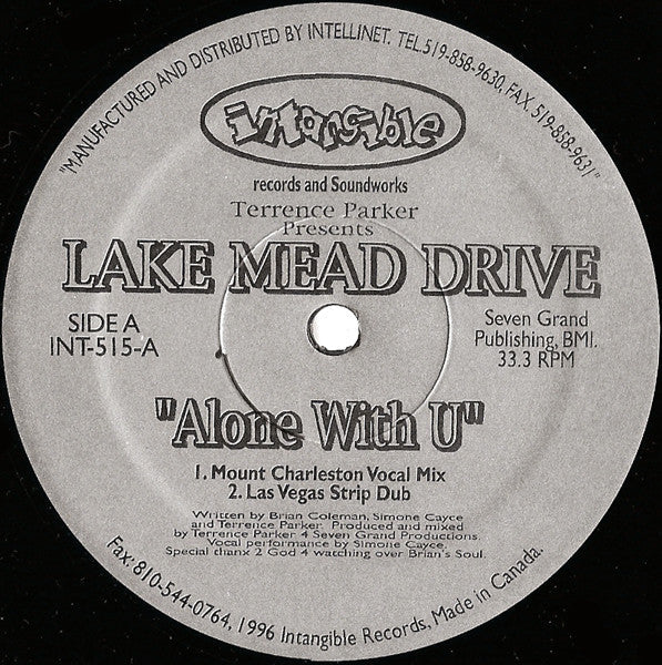 Terrence Parker - Alone With U (VINYL) | Near Mint (NM) Generic