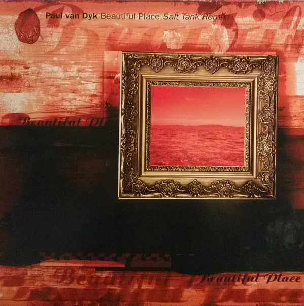 Paul van Dyk - Beautiful Place (Salt Tank Remix) | Near Mint (NM) Excellent (EX)