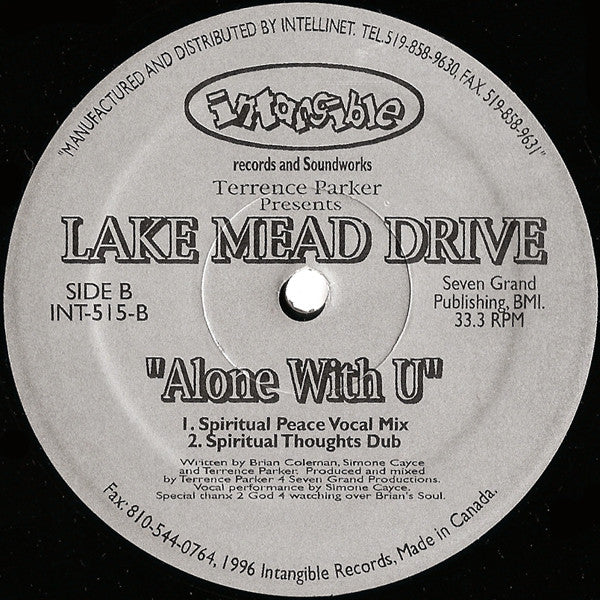 Terrence Parker - Alone With U (VINYL) | Near Mint (NM) Generic