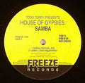 Todd Terry - Samba (VINYL) | Near Mint (NM or M-) Generic