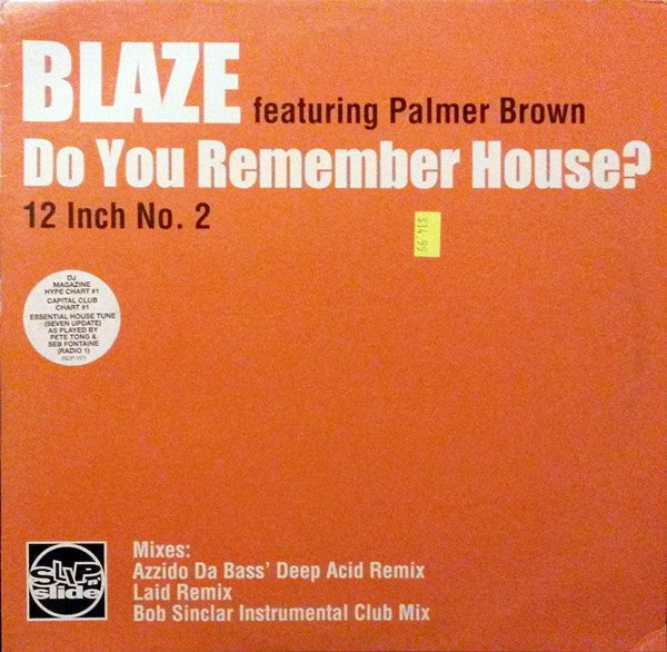 Blaze Foley - Do You Remember House? (Part 2) | Near Mint (NM) Near Mint (NM)