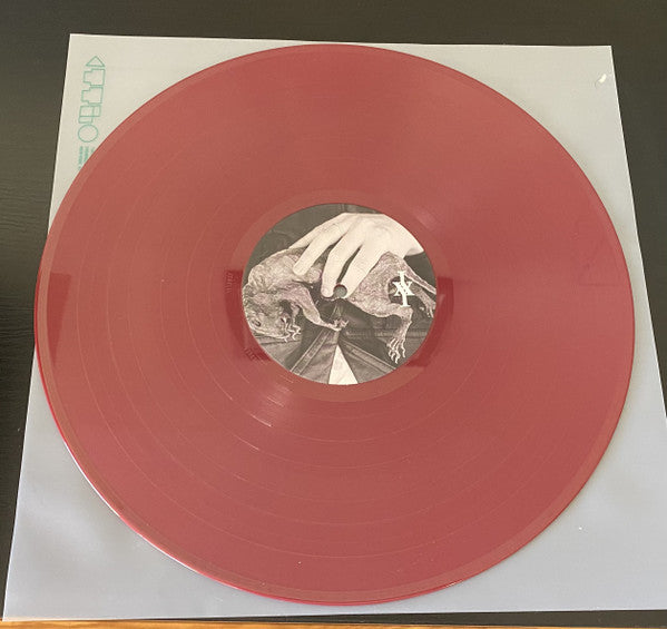 Shake The Feeling - Outtakes And Rarities 2015-2021 | Mint (M) Mint (M)