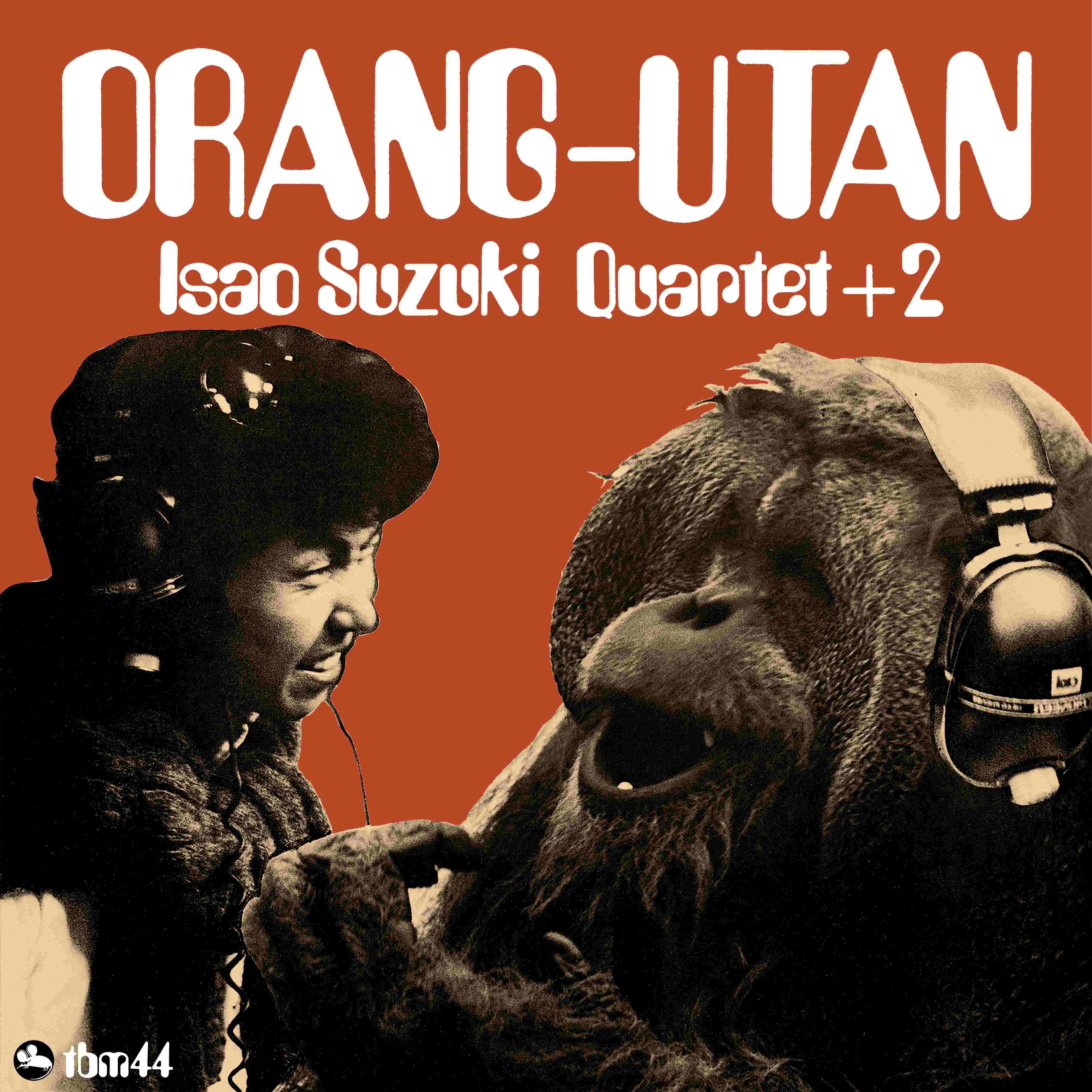 Orangutan |