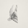 Sleep Heavy |