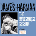 The Bluesmoose Session |