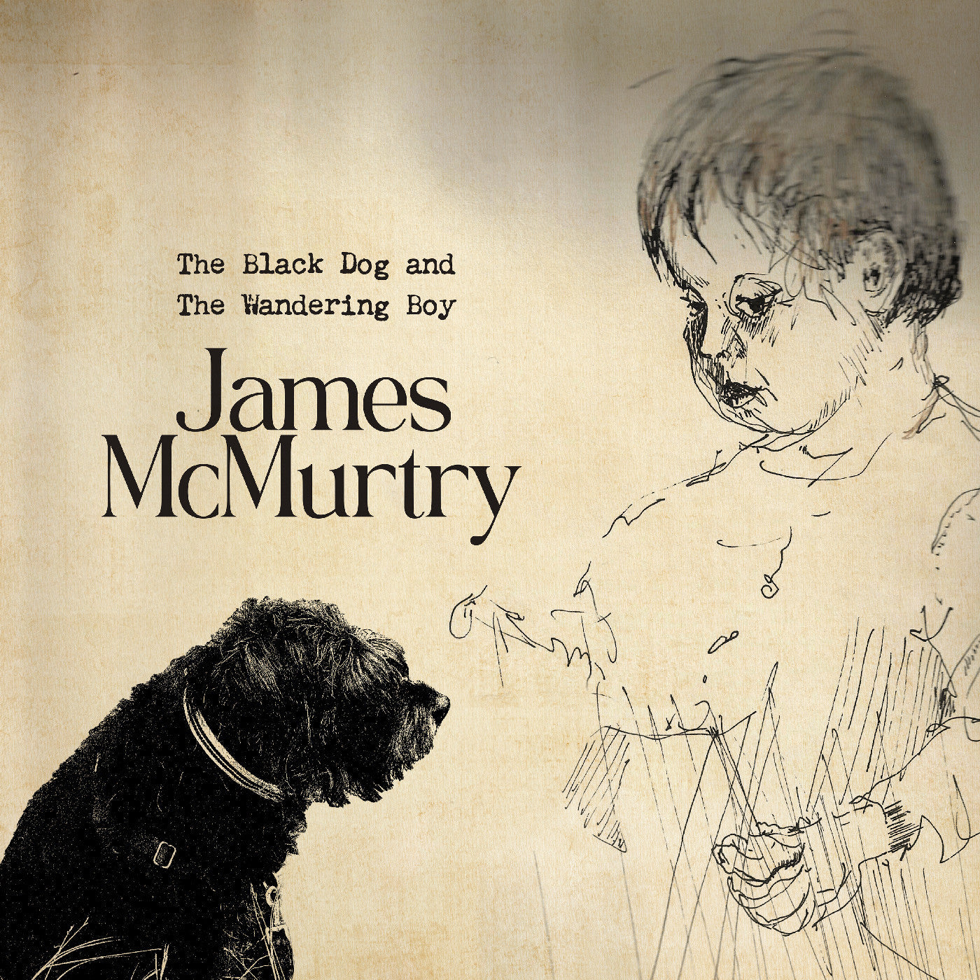 James McMurtry - The Black Dog And The Wandering Boy (VINYL) | Mint (M) Mint (M)