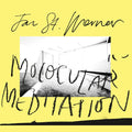 Molocular Meditation |
