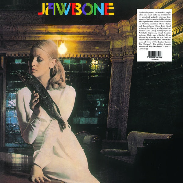 Jawbone |