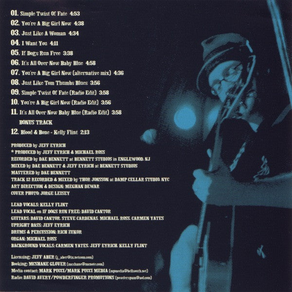 Dave's True Story - Simple Twist Of Fate (CD) | Near Mint- (NM-) Near Mint- (NM-)