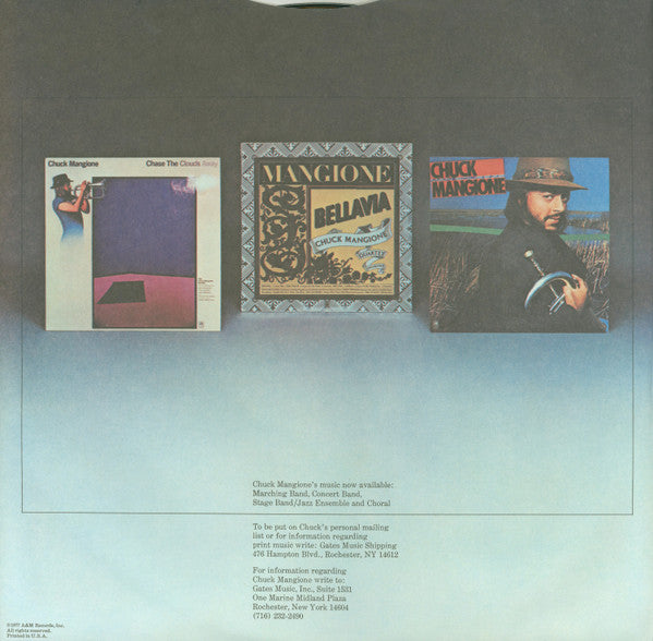 Chuck Mangione - Feels So Good (VINYL) | Near Mint (NM) Excellent (EX)