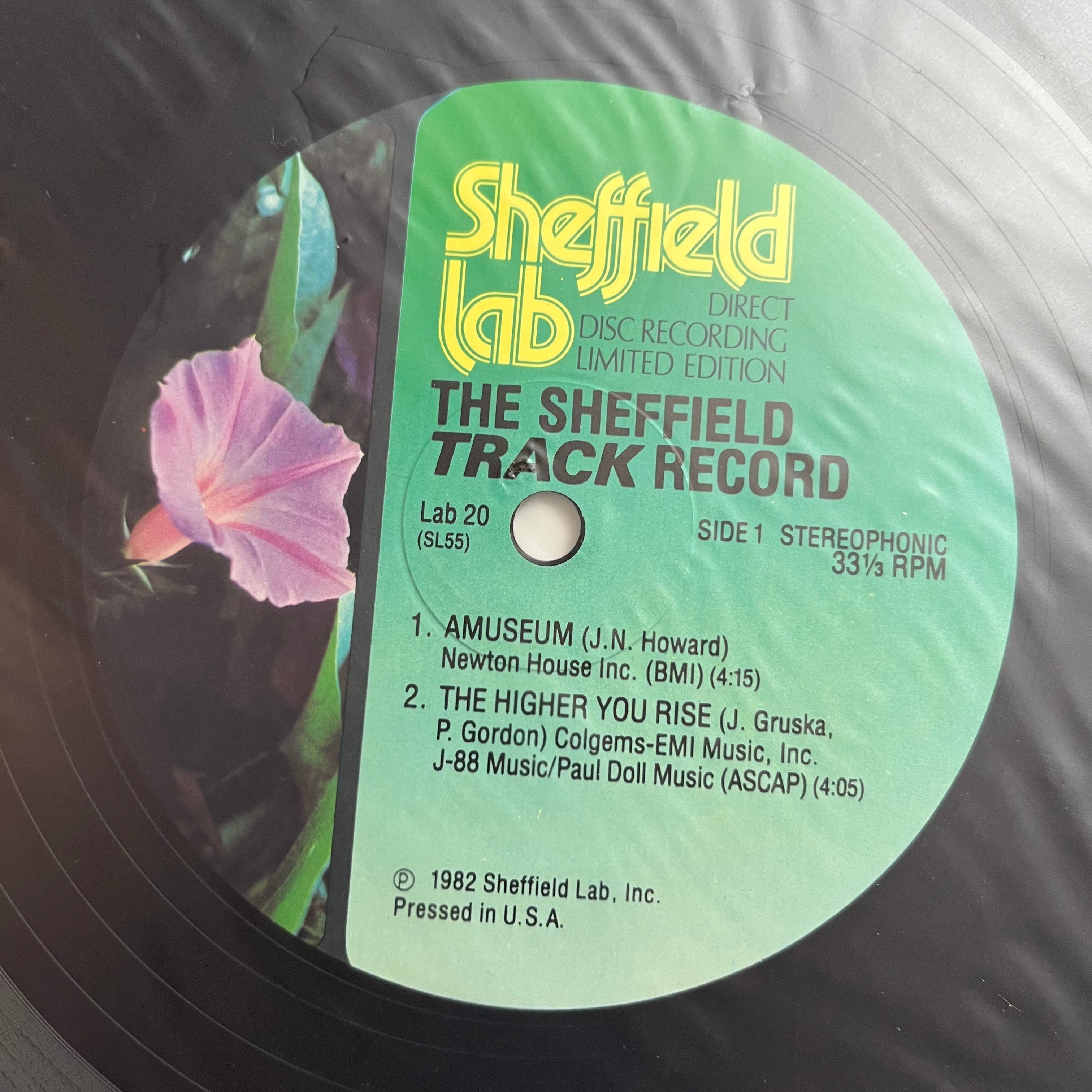 Robbie Buchanan - The Sheffield Track Record (VINYL) | Near Mint (NM) Near Mint (NM)