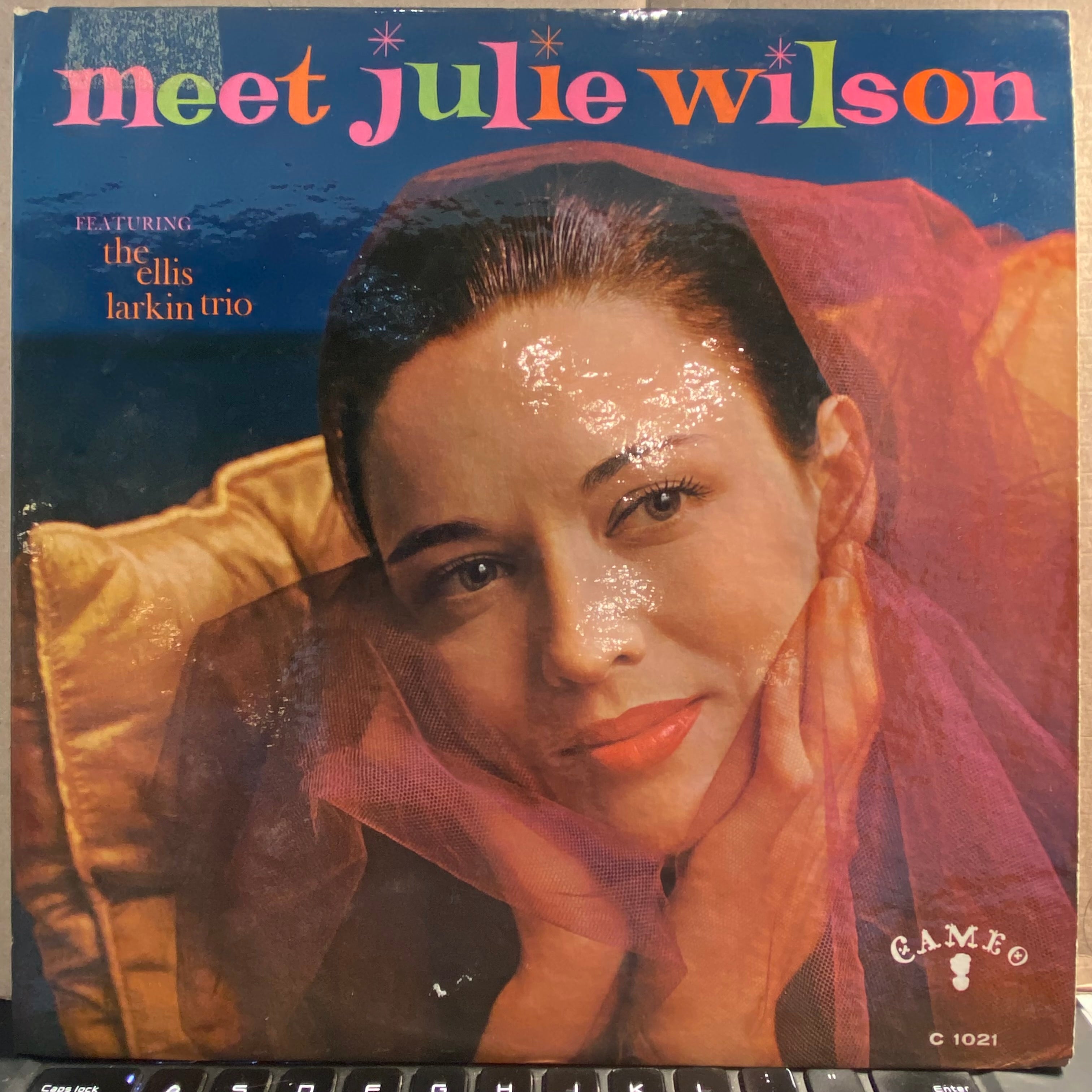 Julie Wilson - Meet Julie Wilson *PROMO* | Very Good (VG) Very Good Plus (VG+)