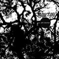 Synergy |