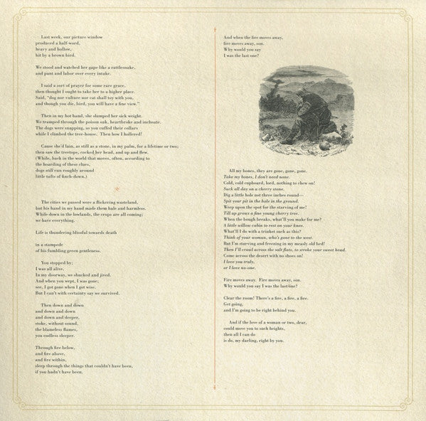 Joanna Newsom - Ys (2x VINYL) | Mint (M) Mint (M)