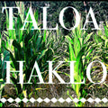 Taloa Haklo |