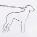 Portrait Of A Dog | Mint (M) Mint (M)