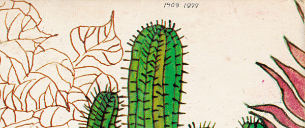 Joni Mitchell | Very Good Plus (VG+) Near Mint (NM)