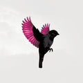 Sparrow |